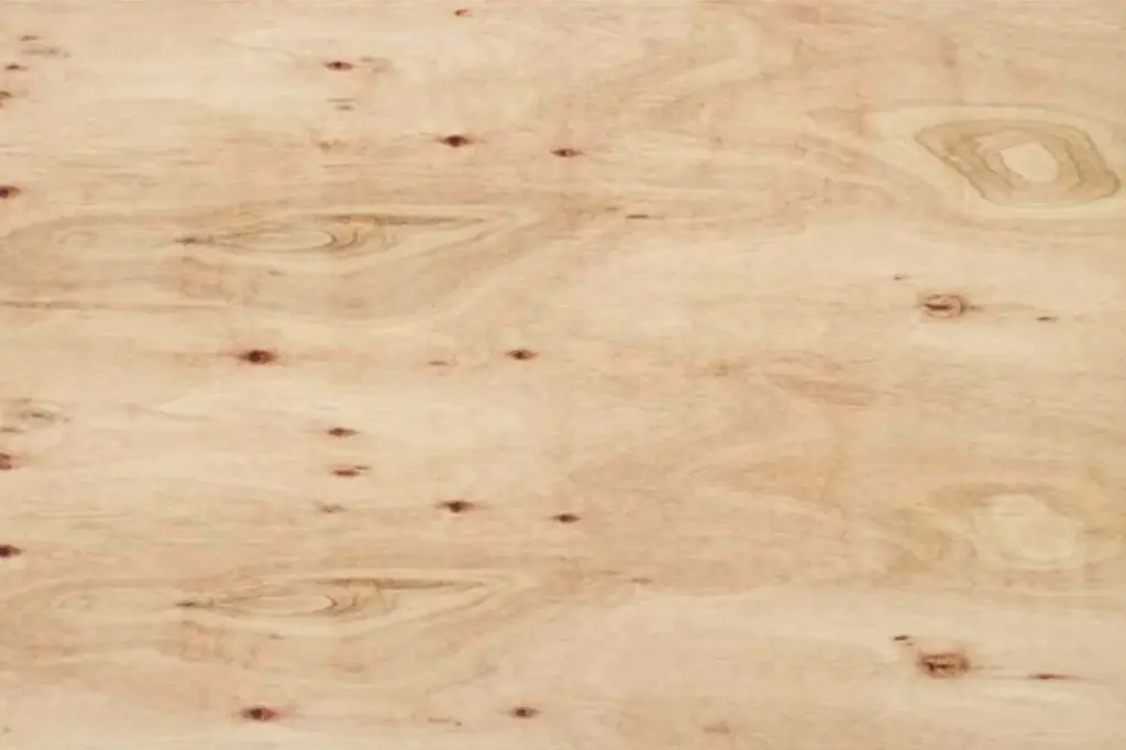 Fenólico Eucaliptus - CDX - 1,2m x 2,4m x 5,5mm