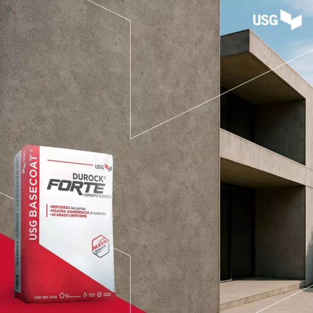 Basecoat Flex Gris 22.7 Kg - USG