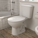 Juego Inodoro - Mochila y Tapa Ferrum Andina -Juego-Ferrum-and-B-E-