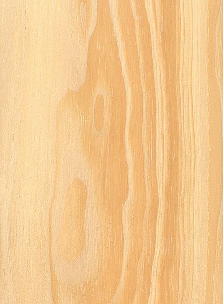 Fenólico Pino CDX 1,2m x 2,4m x 12mm