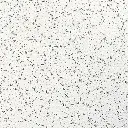 Placa Armstrong Paris  60cm x 60 cm Un