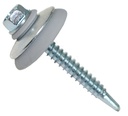 Tornillo para  Policarbonato C/Capuchon y Arandela PVC - 2´´